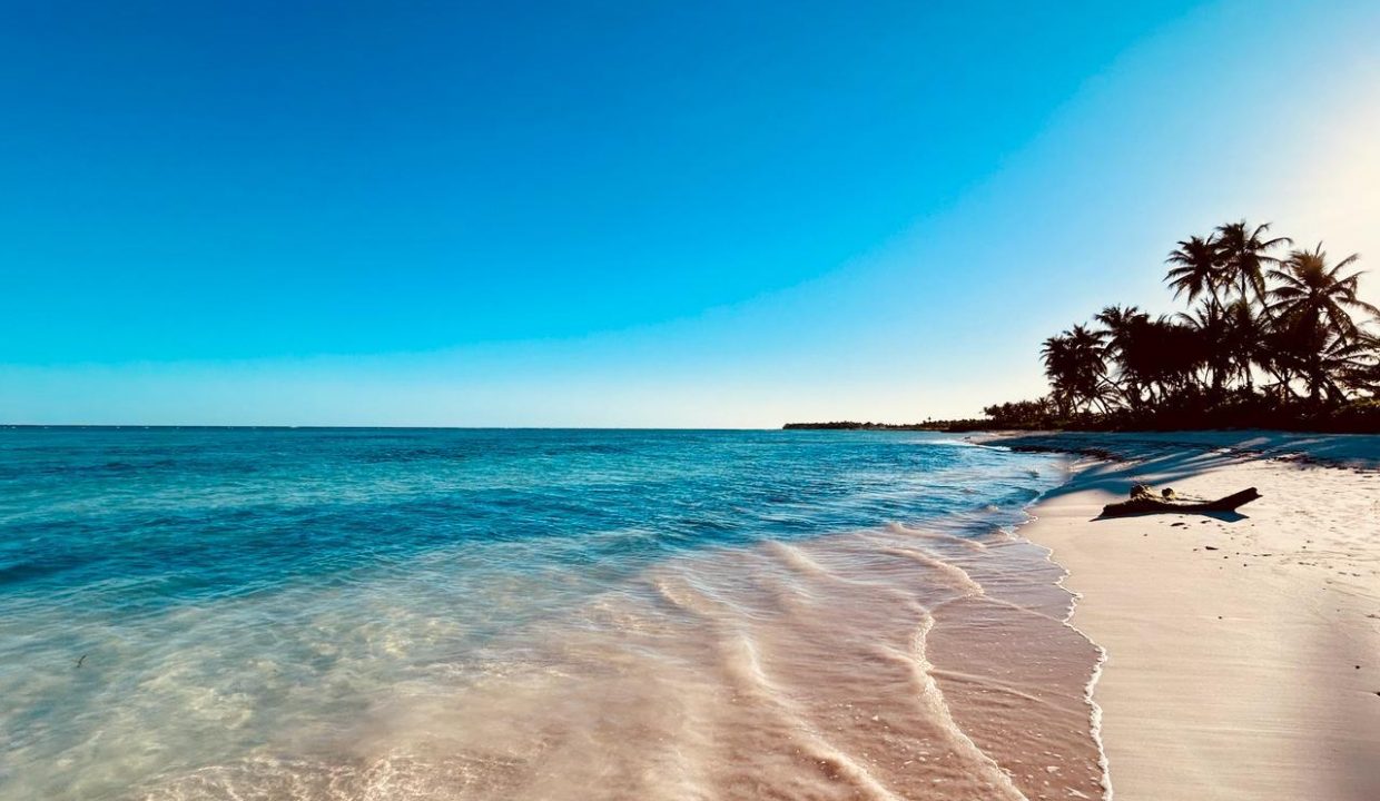 WhatsApp Image 2024-03-14 at 5.03.12 PM (3)