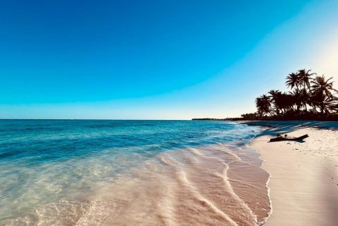 WhatsApp Image 2024-03-14 at 5.03.12 PM (3)