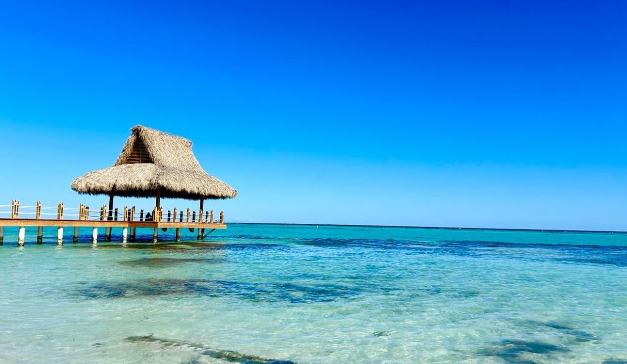 WhatsApp Image 2024-03-14 at 5.03.13 PM