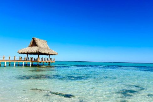 WhatsApp Image 2024-03-14 at 5.03.13 PM